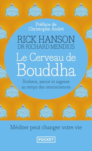 Le cerveau de Bouddha - occasion