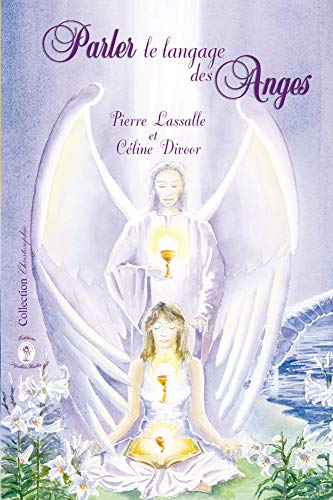 Parler le langage des anges - occasion